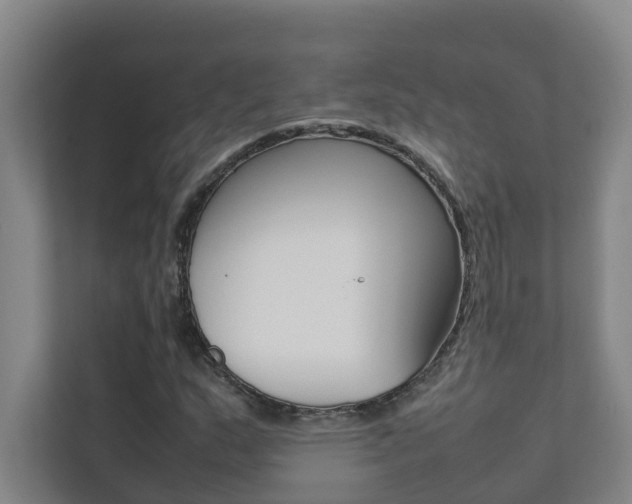 X0000112071159200908040945