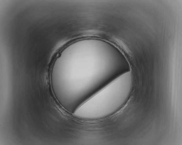 X0000112071164200908040945