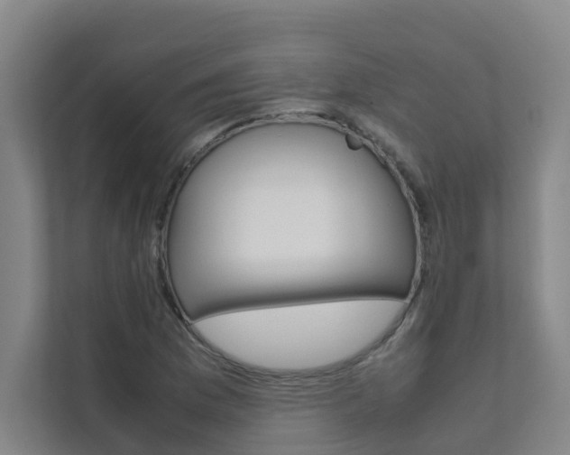 X0000112071169200908040945