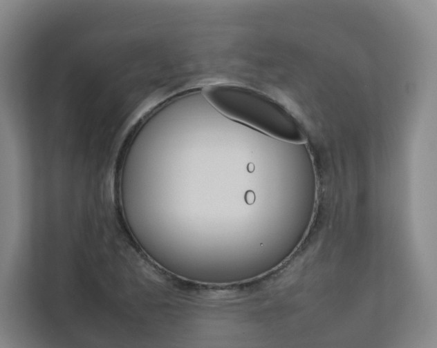 X0000112071173200908040945
