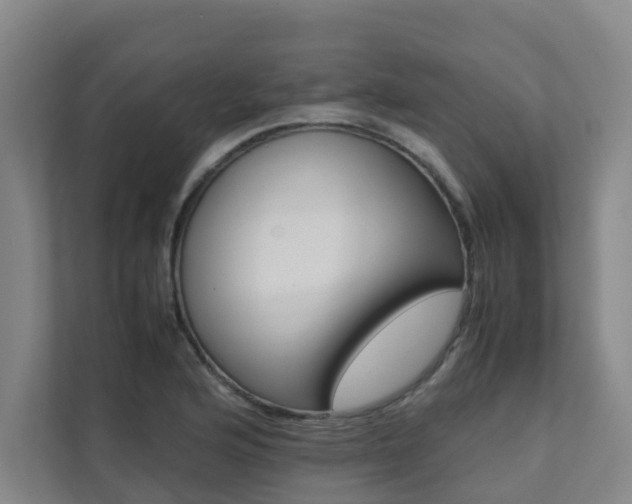 X0000112071176200908040944