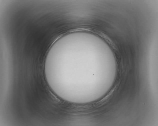 X0000112071177200908040944