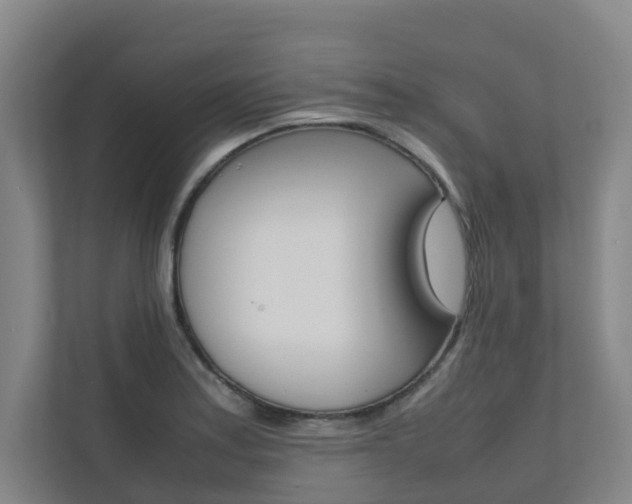 X0000112071179200908040944