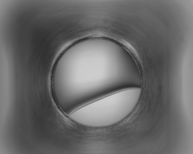 X0000112071183200908040944
