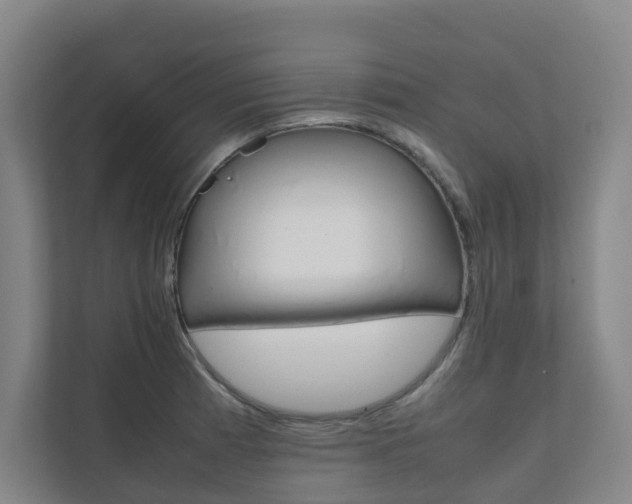 X0000112071185200908040944