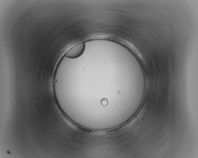X0000112071186200908040944