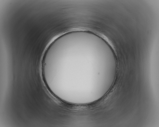 X0000112071187200908040944