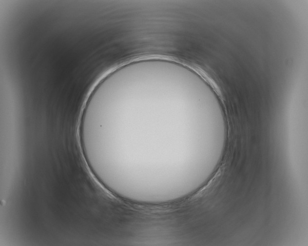 X0000112071189200908040944