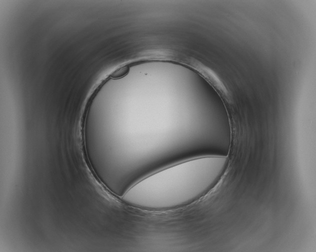 X0000112071192200908040944