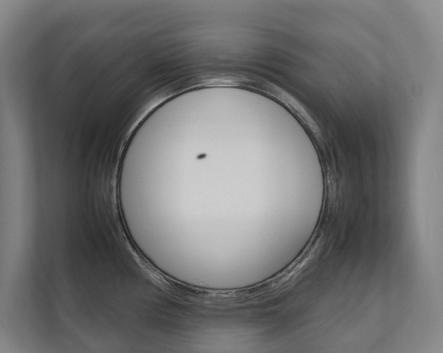 X0000112071194200908040944