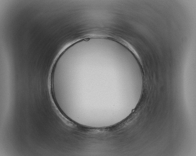 X0000112071195200908040944