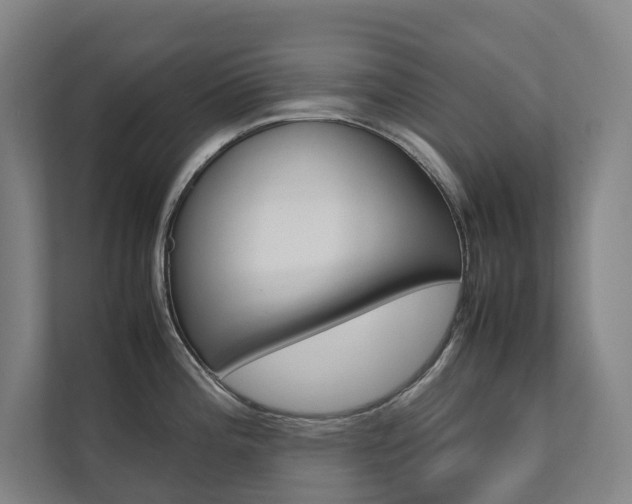 X0000112071196200908040944