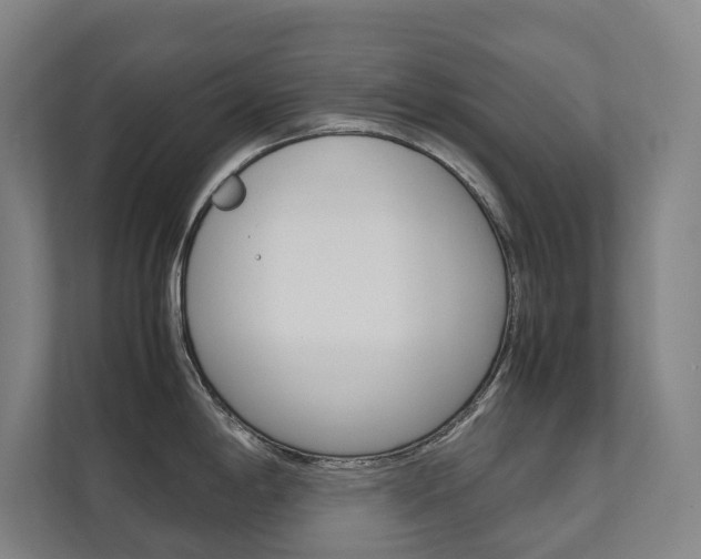 X0000112071198200908040944