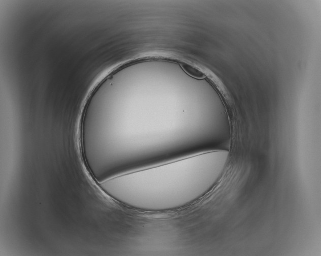 X0000112071199200908040944