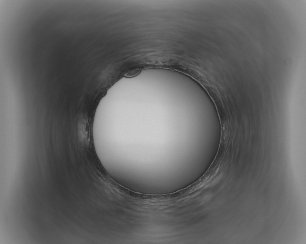 X0000112071202200908040944