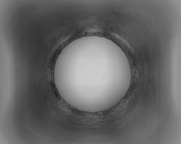 X0000112071207200908040944