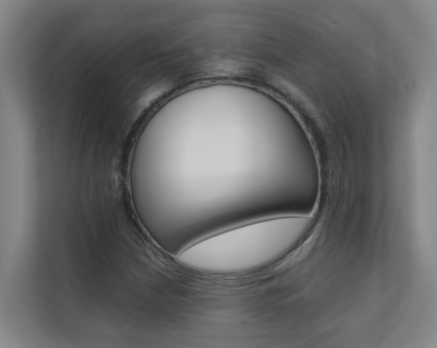 X0000112071210200908040944