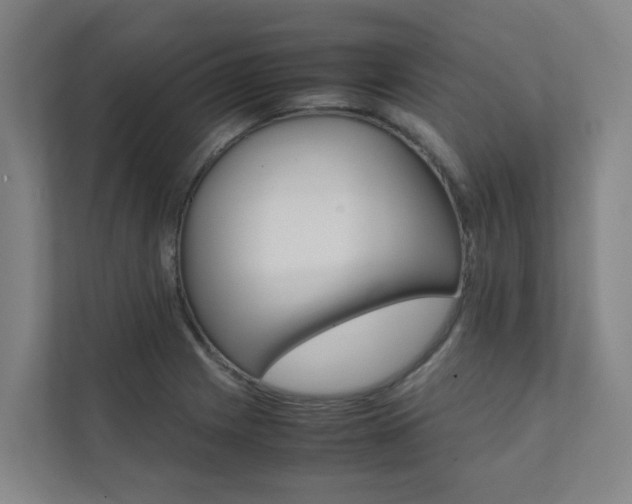 X0000112071225200908040944
