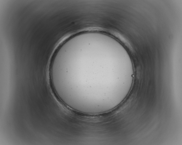 X0000112071229200908040944