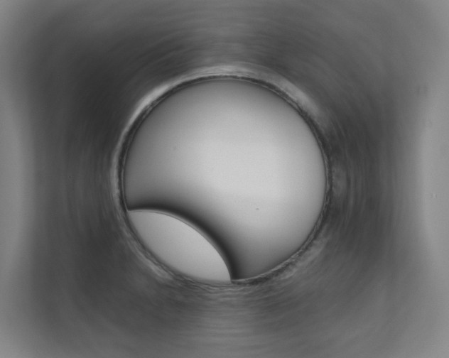 X0000112071230200908040944
