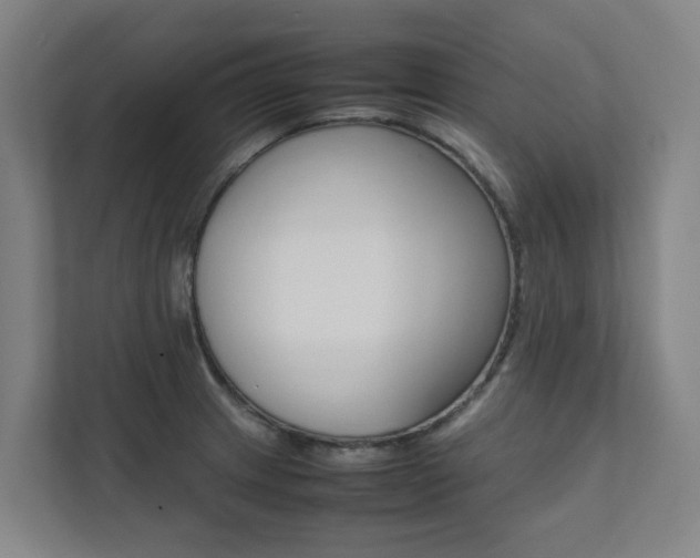 X0000112071233200908040944