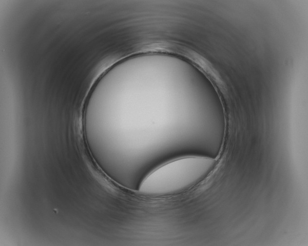 X0000112071234200908040944
