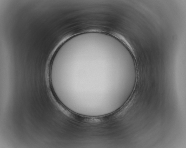 X0000112071235200908040944