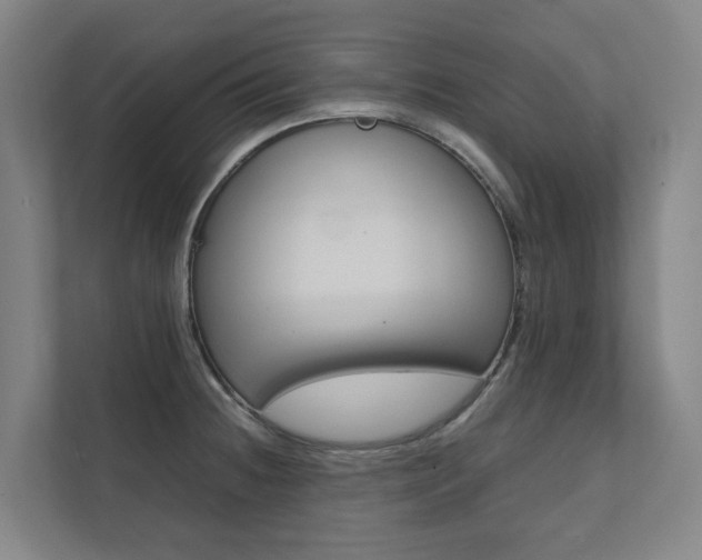 X0000112071236200908040944