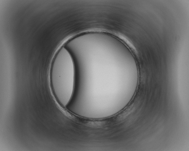 X0000112071237200908040944