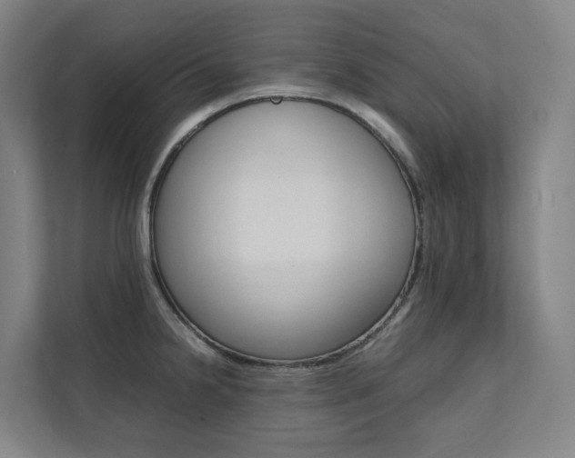 X0000112071238200908040944