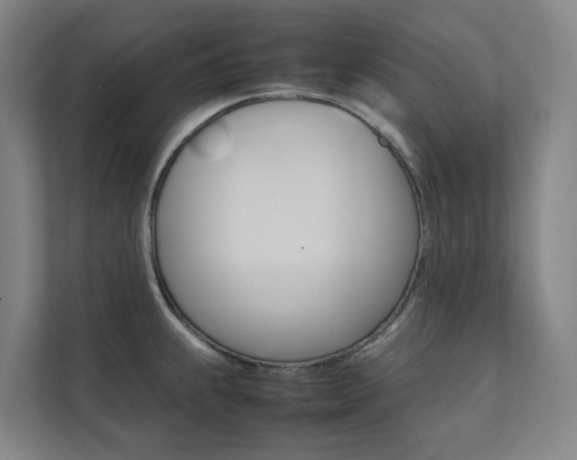 X0000112071239200908040944