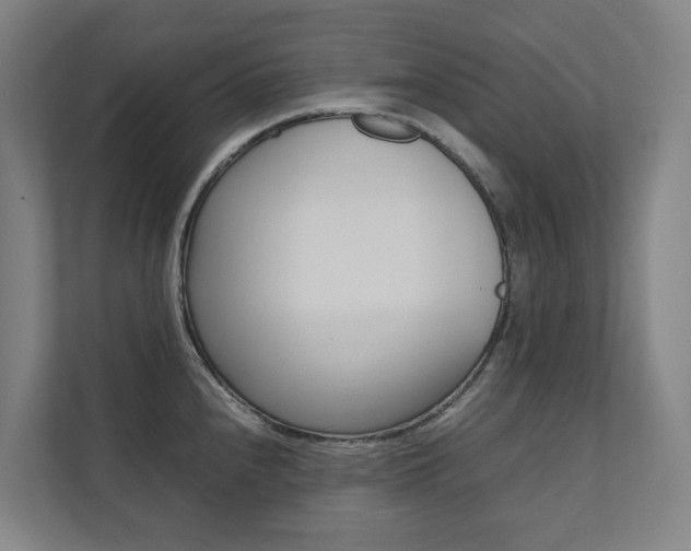 X0000112071240200908040944