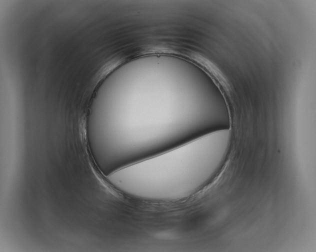 X0000112071241200908040944
