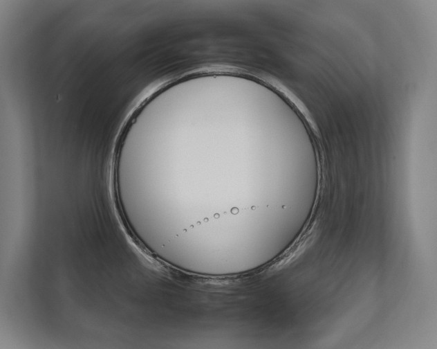 X0000112071245200908040944