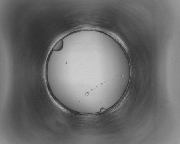 X0000112071247200908040944