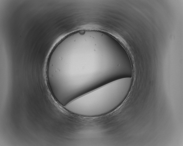 X0000112071248200908040944