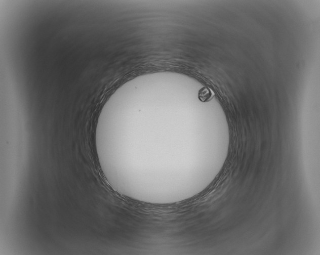 X0000112071249200908040944