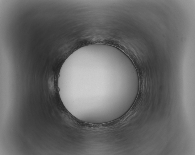 X0000112071250200908040944