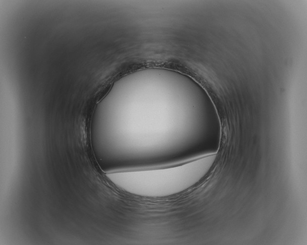 X0000112071252200908040943