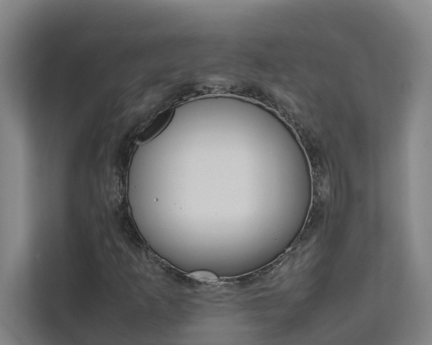 X0000112071253200908040943