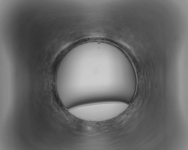 X0000112071255200908040943