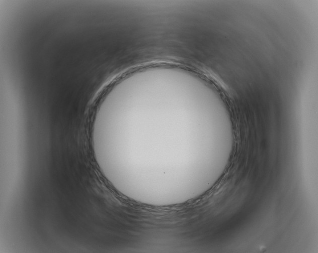 X0000112071256200908040943