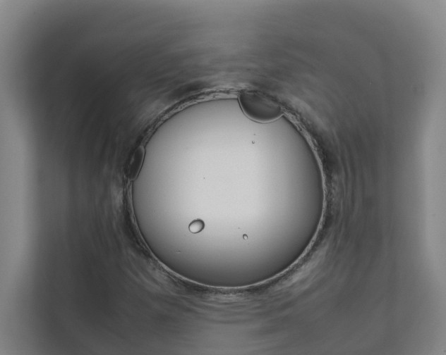 X0000112071257200908040943