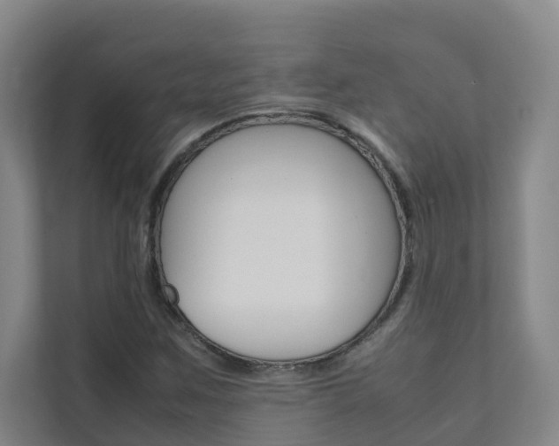 X0000112071259200908040943