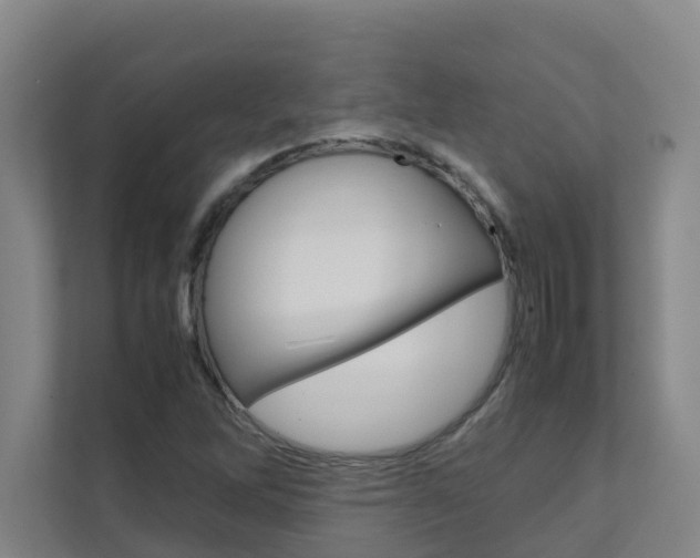 X0000112071262200908040943