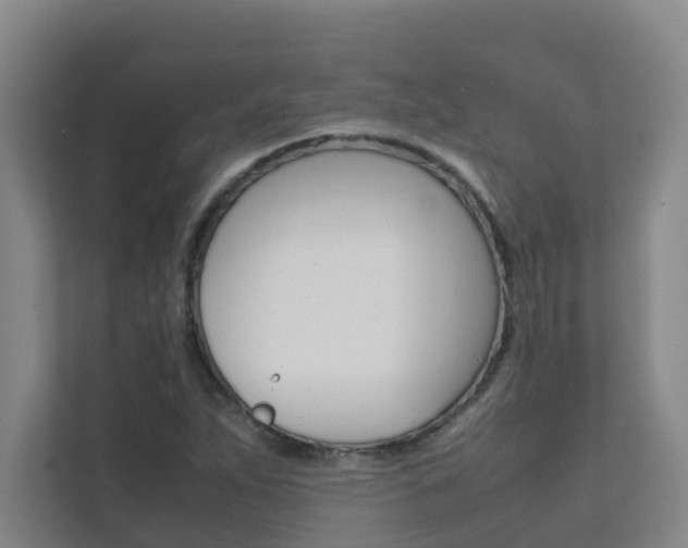 X0000112071263200908040943