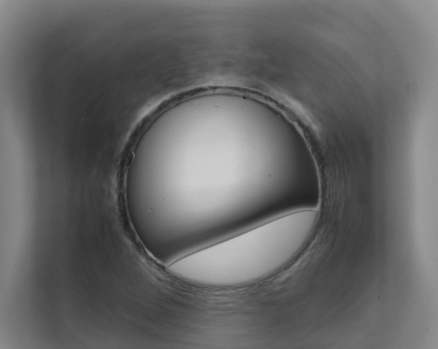 X0000112071264200908040943
