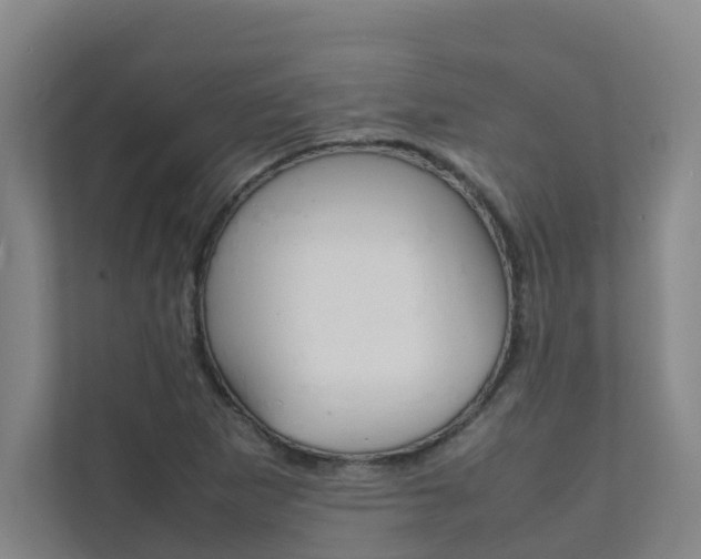 X0000112071265200908040943