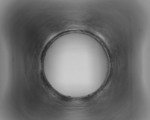X0000112071267200908040943