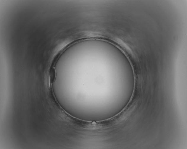 X0000112071269200908040943